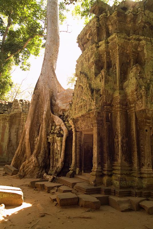 Angkor D1 361.jpg